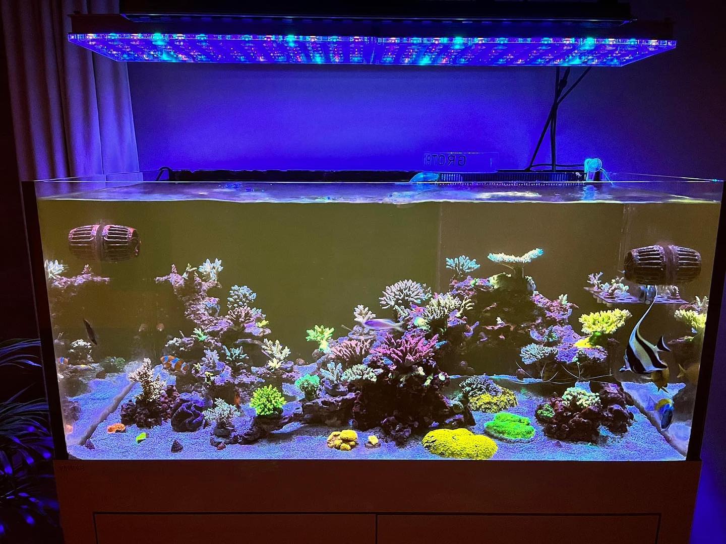 melhor-reef-aquarium-LED-light-de-2022
