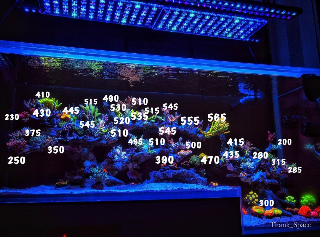 Tanque de agua salada bajo Atlantik iCon y OR3 LED Bars Lecturas PAR con espectro más azul