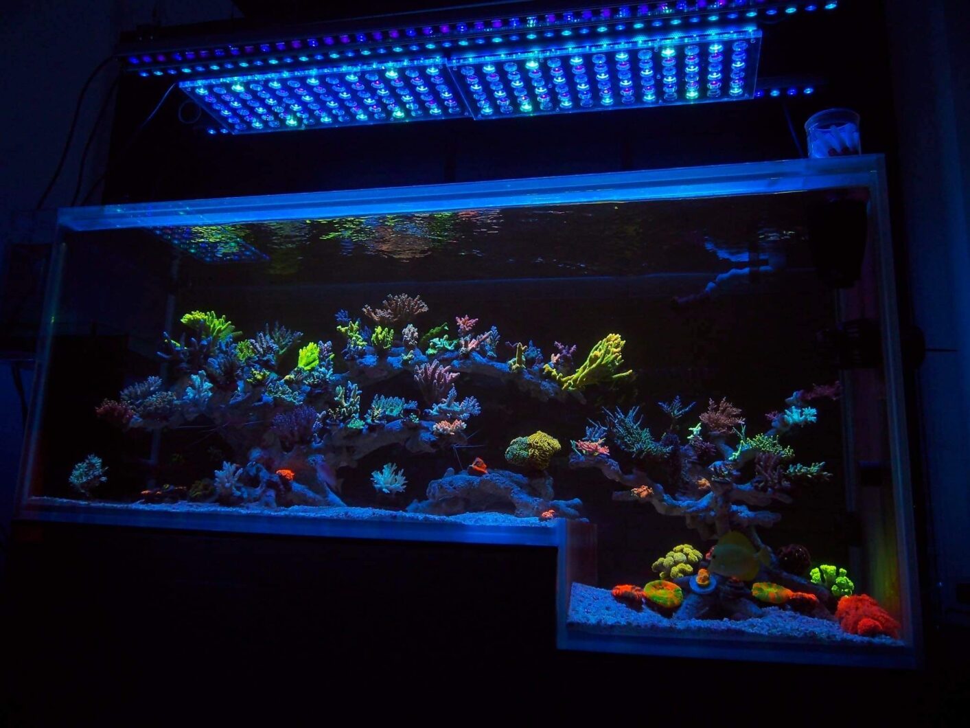 atlantik_icon_reef_led_lights