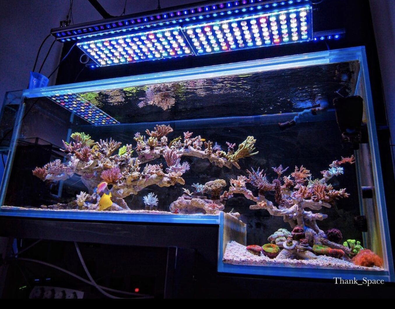 Atlantik iCon and OR LED Bars over drop off side salted water aquarium
