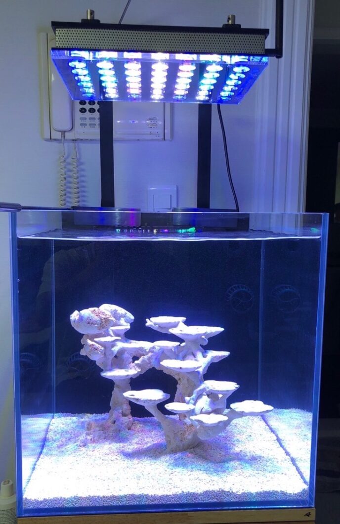 Atlantik_compact_reef_acuario_led_light