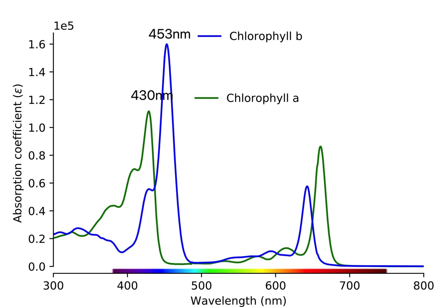 Chlorophyll a has approximate absorbance maxima of 430 nm