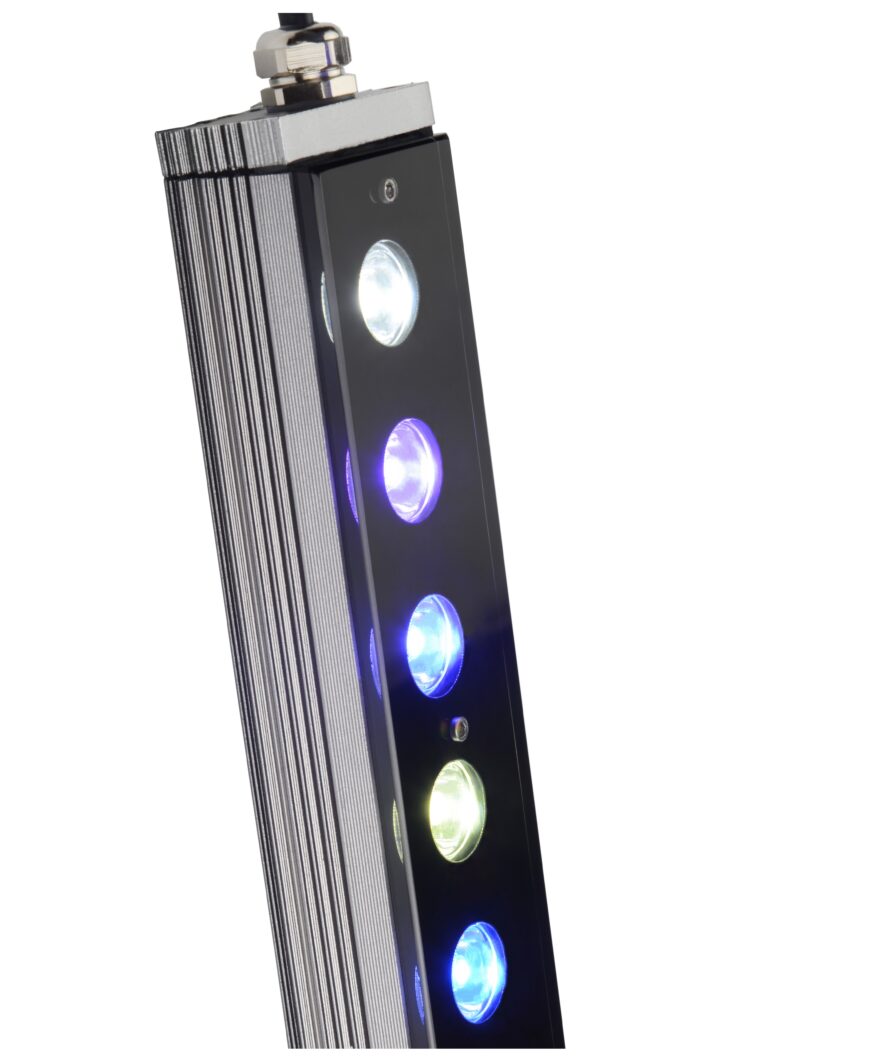 OR3_reef_day_led_bar