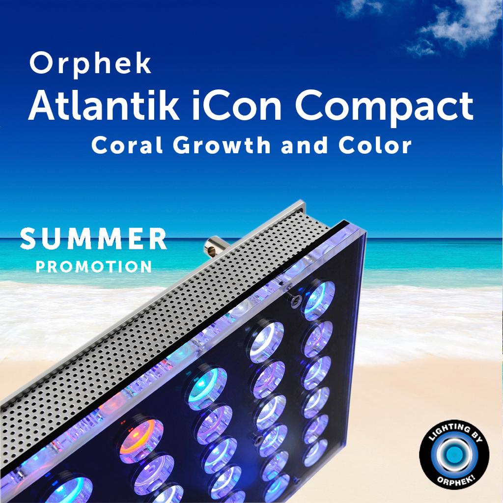 atlantik-compact-καλοκαίρι-εκπτώσεις
