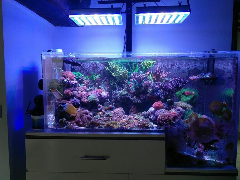 Atlantik iCon Compact - Reef Aquarium LED Lighting • Orphek