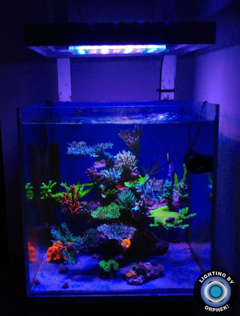 Atlantik iCon Compact - Reef Aquarium LED Lighting • Orphek