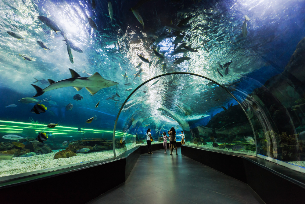 ドバイ_水族館_水中_動物園_orphek_reef_led_lighting