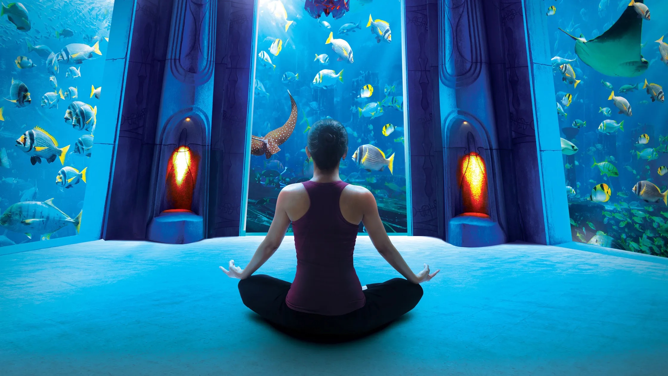 Yoga-på-akvariet-ved-Atlantis_the-Palm_Orphek_reef_aquarium