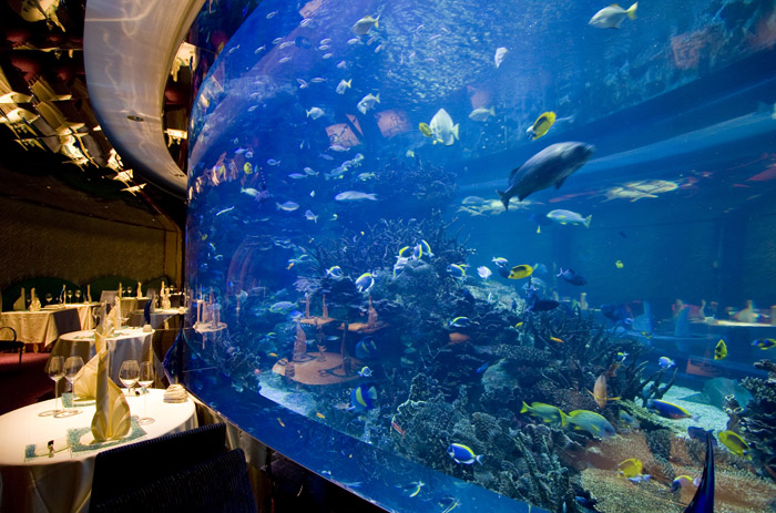 Akvariet oplyst af Orphek på Al Mahara Restaurant - Burj Al Arab - Dubai