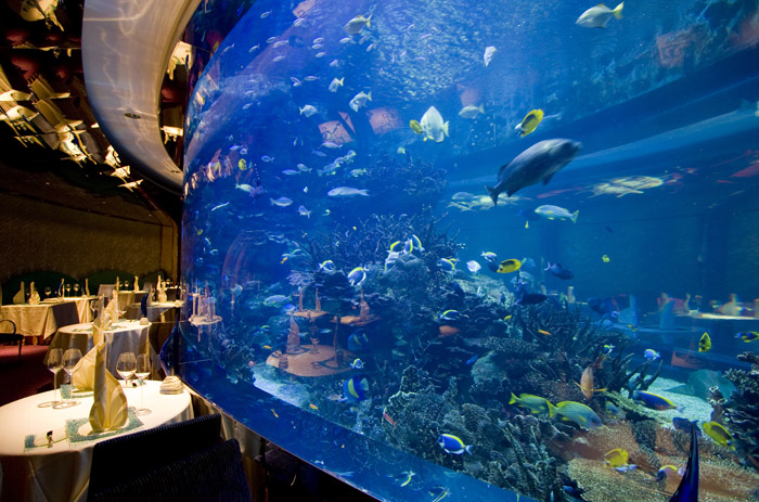 Acuario iluminado por Orphek en el restaurante Al Mahara - Burj Al Arab - Dubai