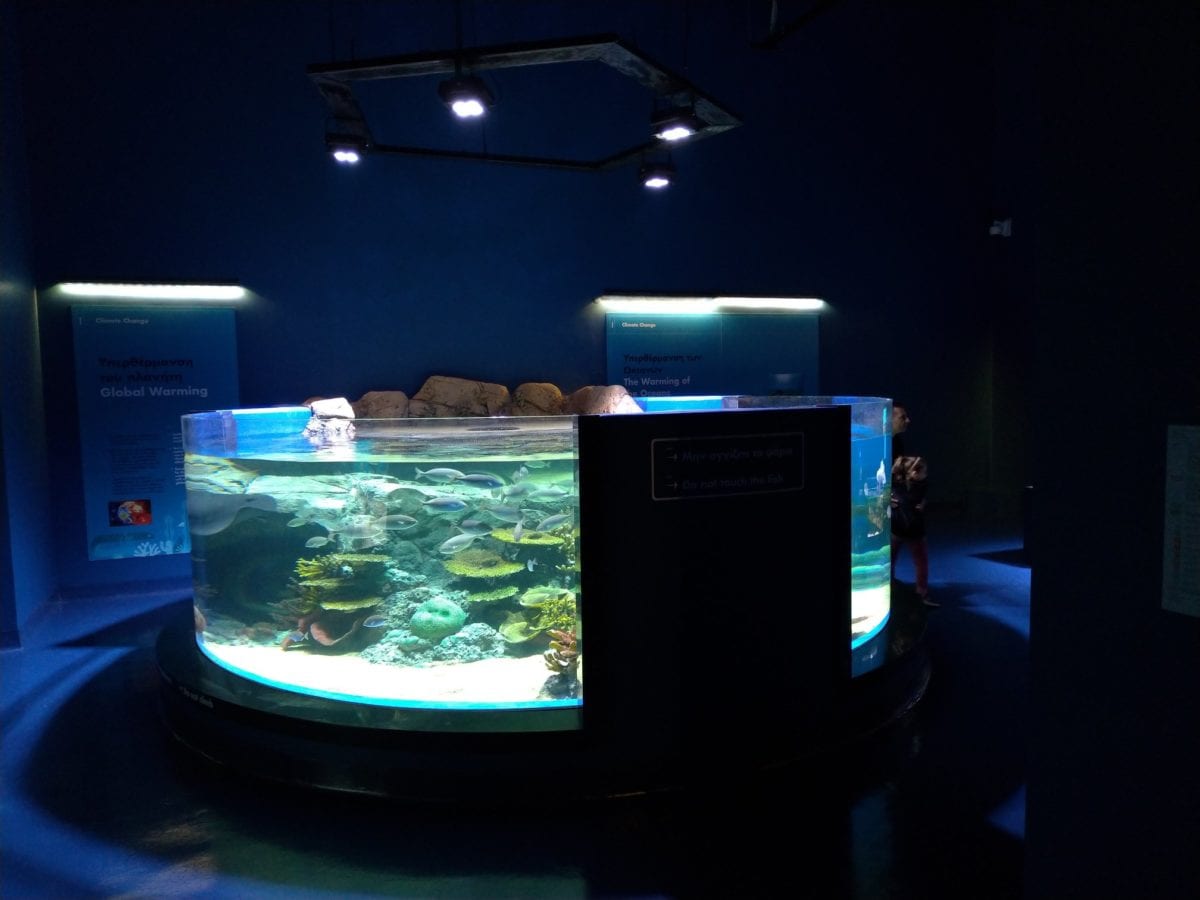 аквариум-цилиндр-оман-аквариум-orphek-amazonas-960