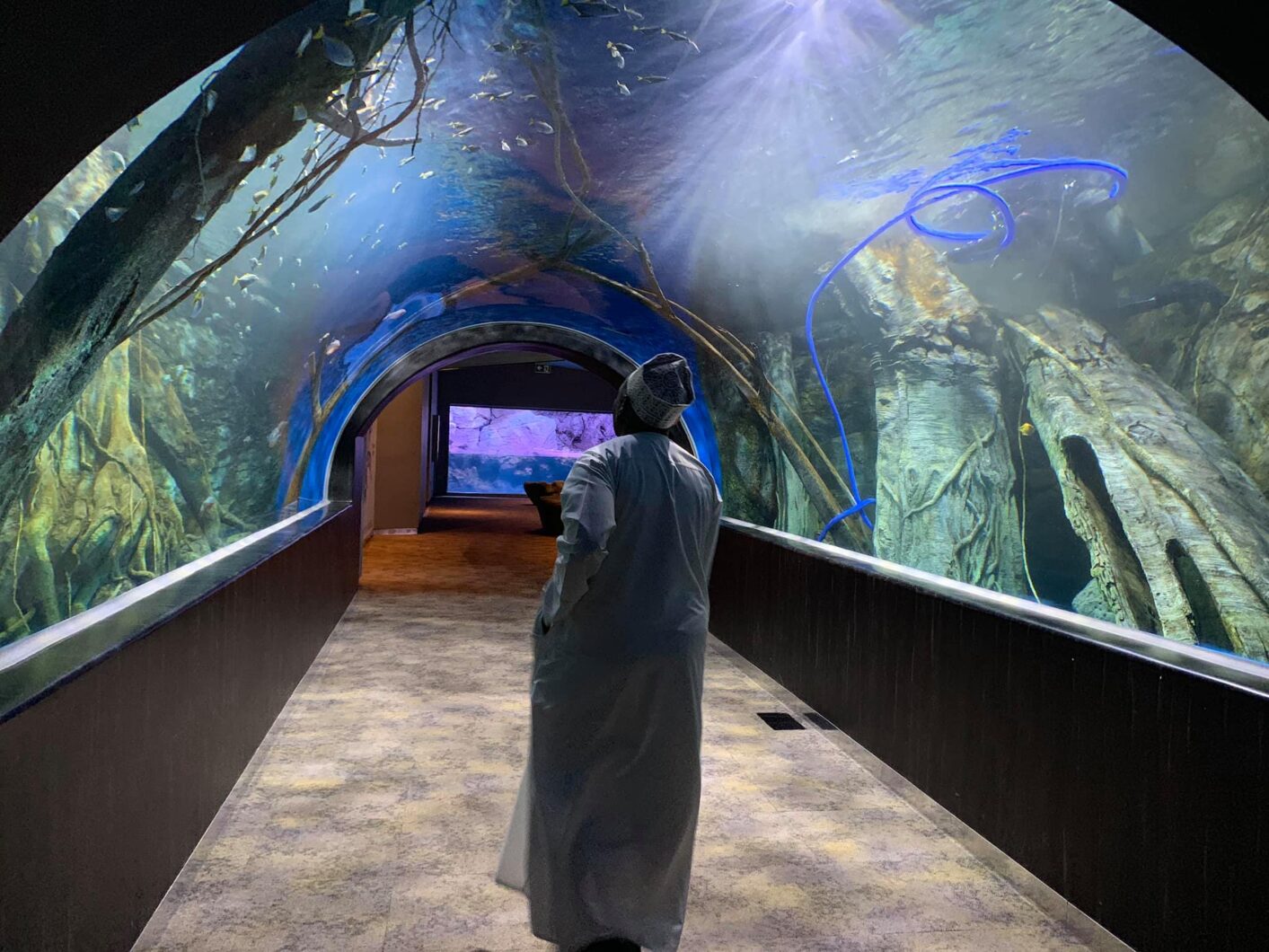 Оман-мускат-торговый центр-аквариум-орфек-светодиодное освещение-