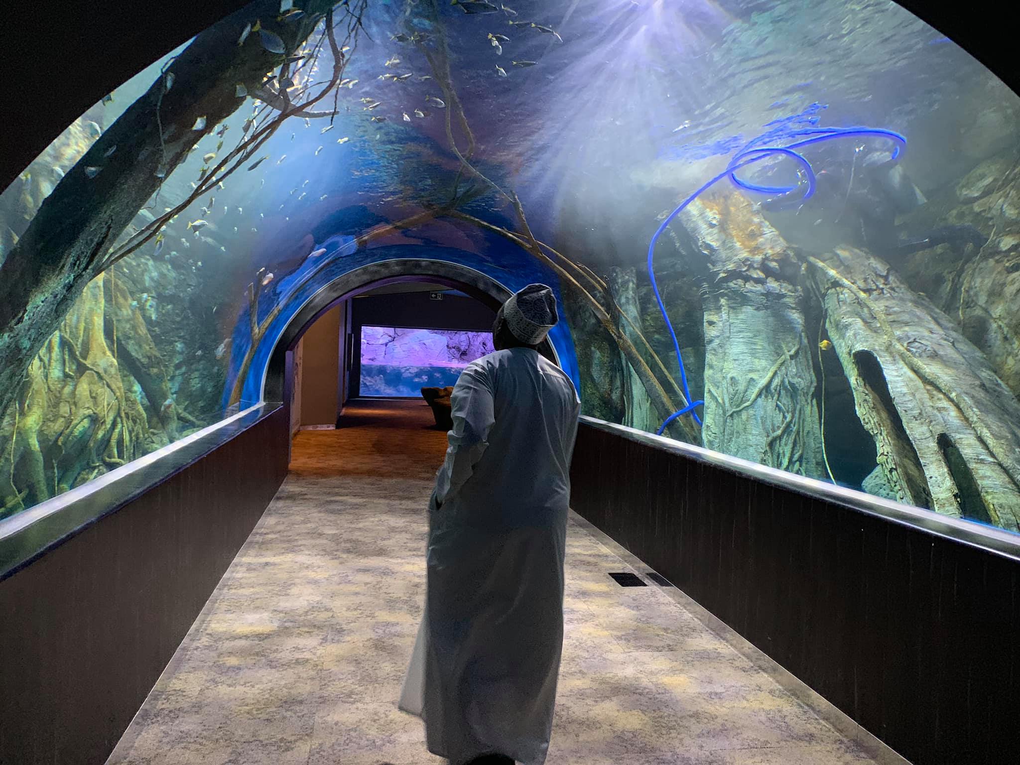 ओमान-मस्कट-मॉल-मछलीघर-ऑर्फेक-नेतृत्व-प्रकाश-