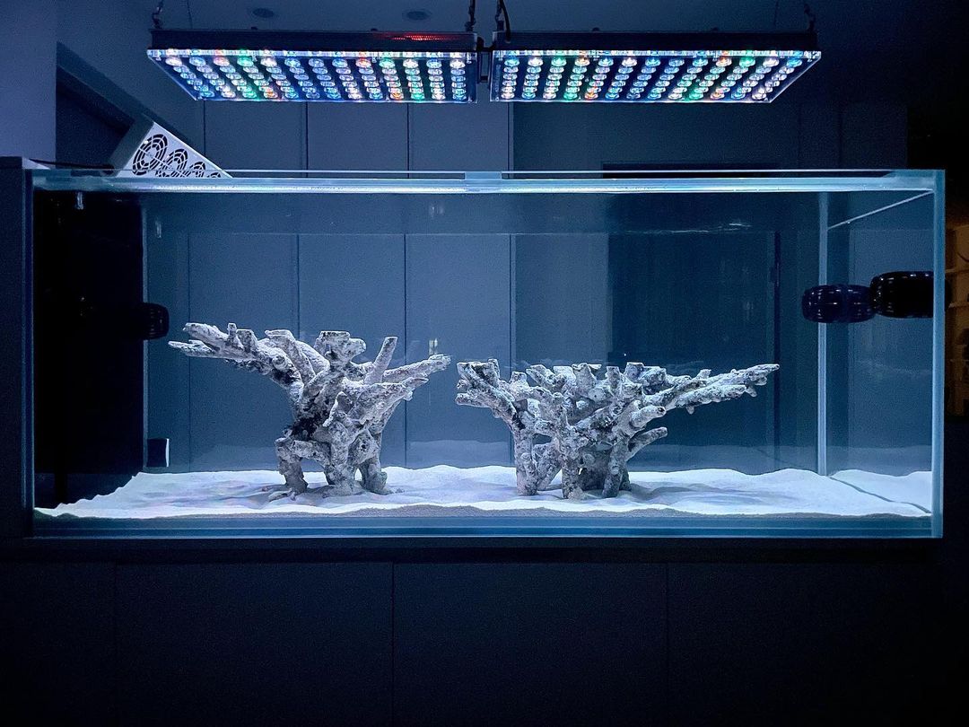 암초 aquascape LED 조명 Orphek Atlantik 아이콘