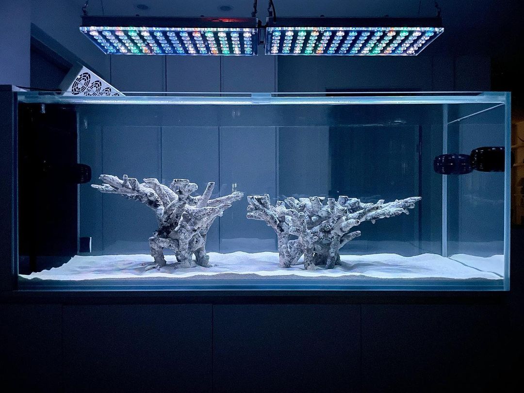 Top 10 des lumières LED d'aquascape de récif Orphek Atlantik icon