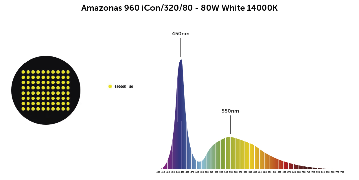 Amazonas branco 14000k