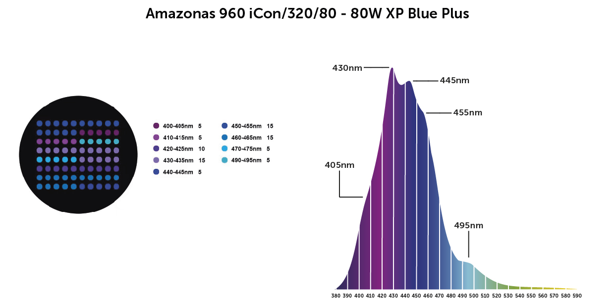 amazonas xp blue plus