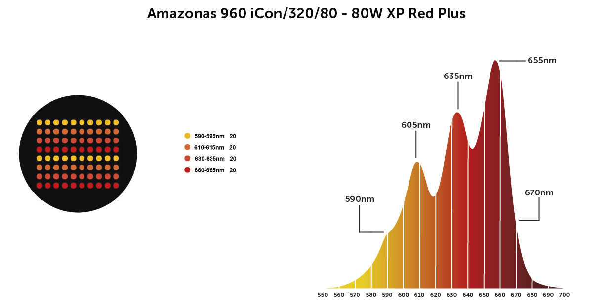 amazonas xp red plus