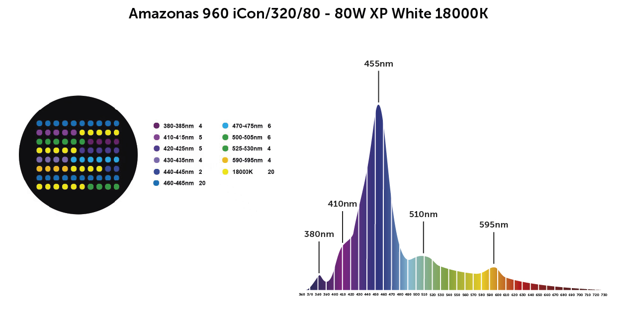 Amazonas xp wit 18000k