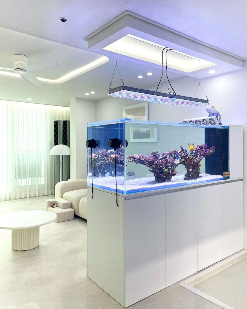2023 minimalistinen riutta aquascape LED Atlantik -kuvake
