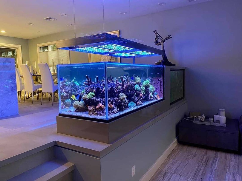 aquarium récifal - lumière led icône atlantik