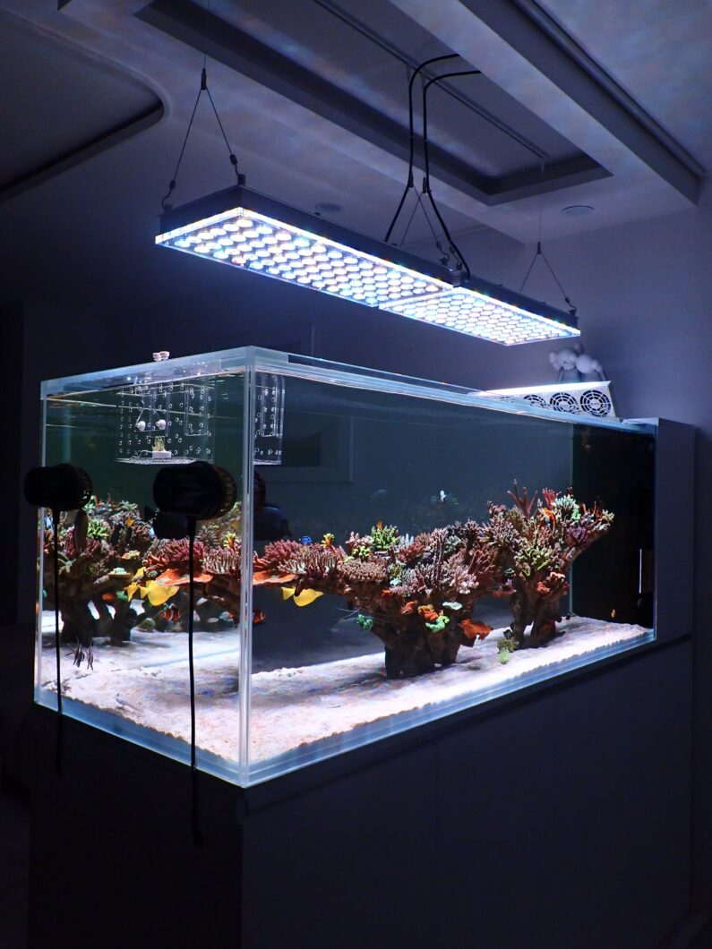 La iluminación del tanque de arrecife de paisajismo acuático minimalista más elegante de Atlantik iCon