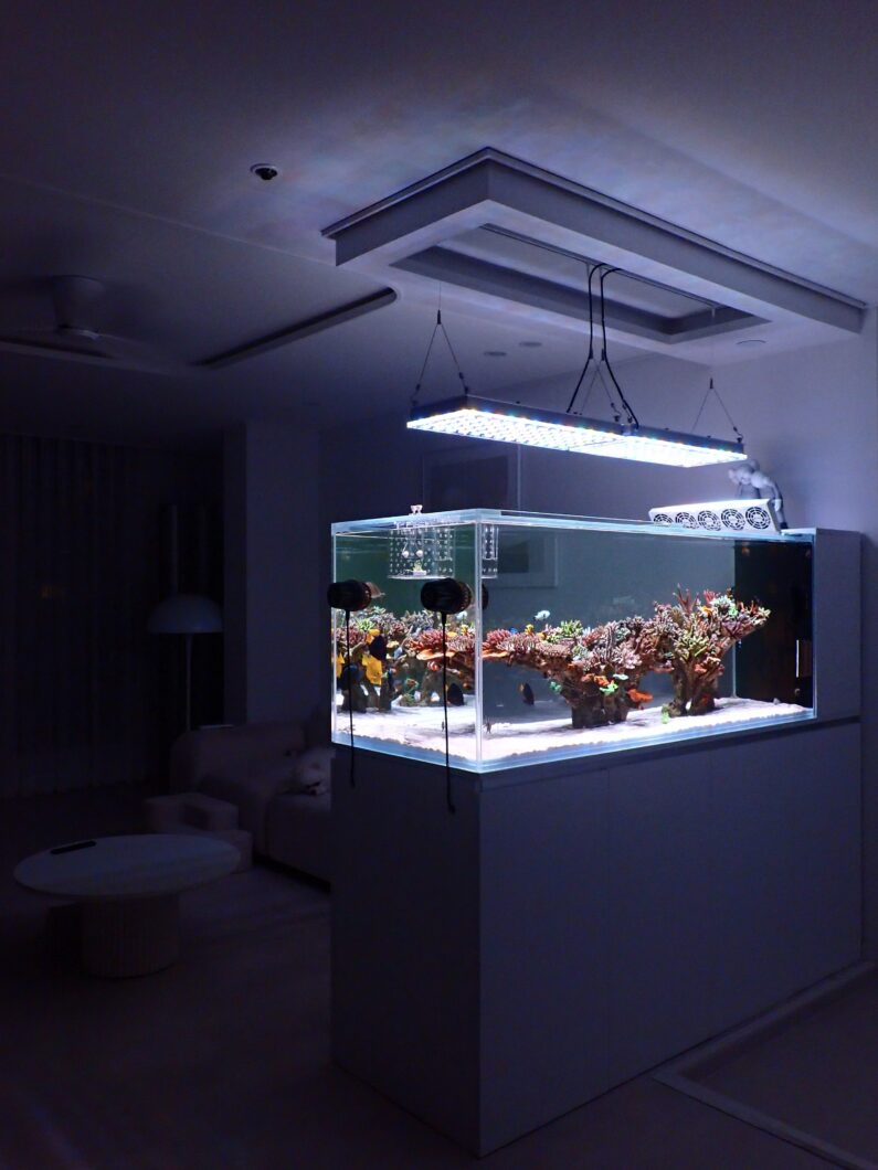 самый удивительный рифовый аквариум в мире