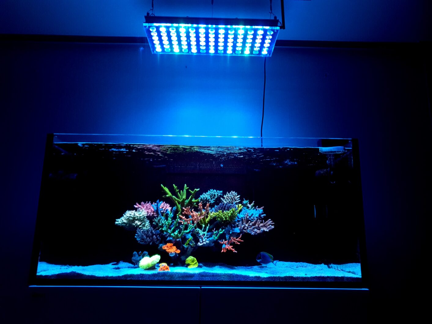 eau salée récif aquascape atlantik icon lumière LED