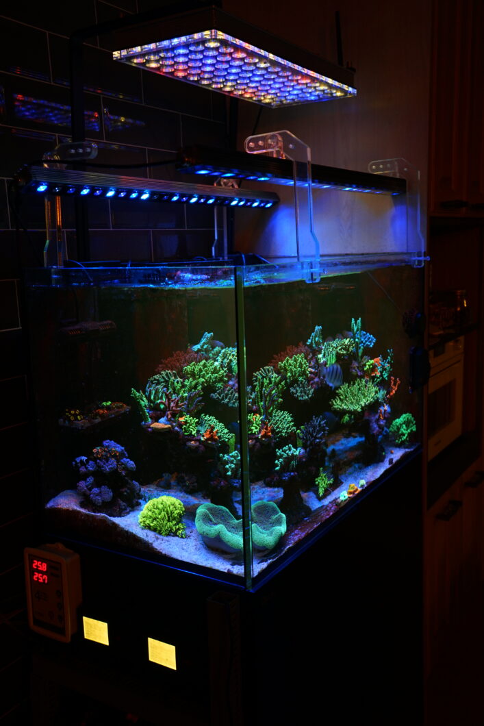 Best-nggumunake-Reef-akuarium-LED-lampu