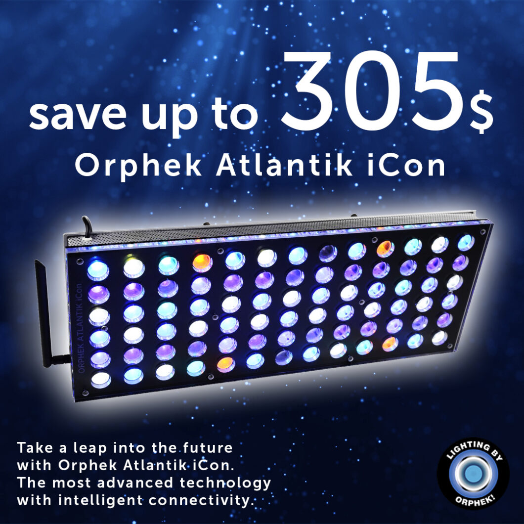 atlantik icon black friday