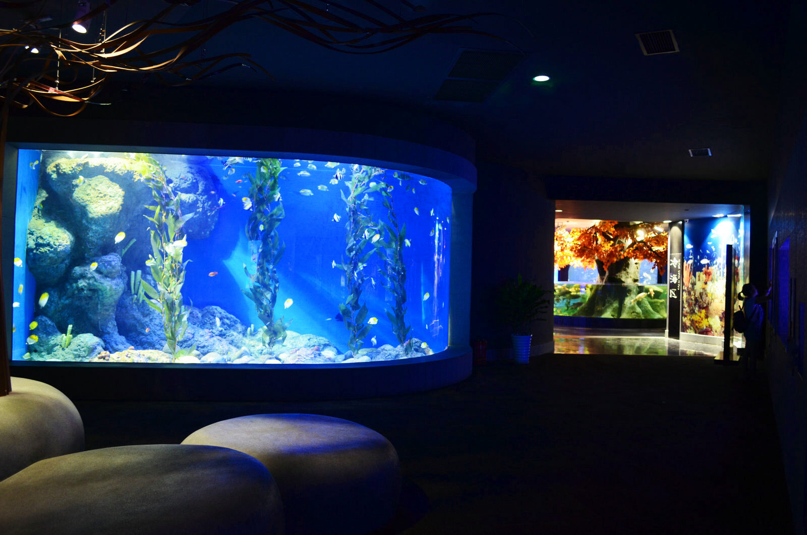sjøgress tare led lys akvarium