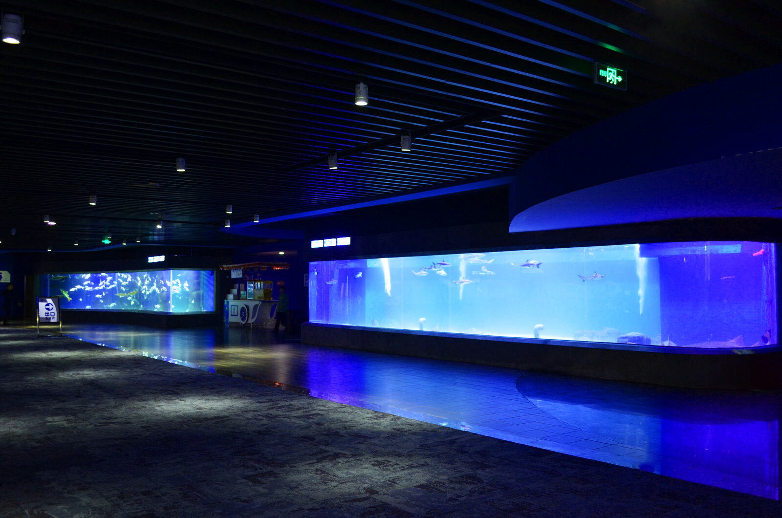 海洋水族館はライトを導きました