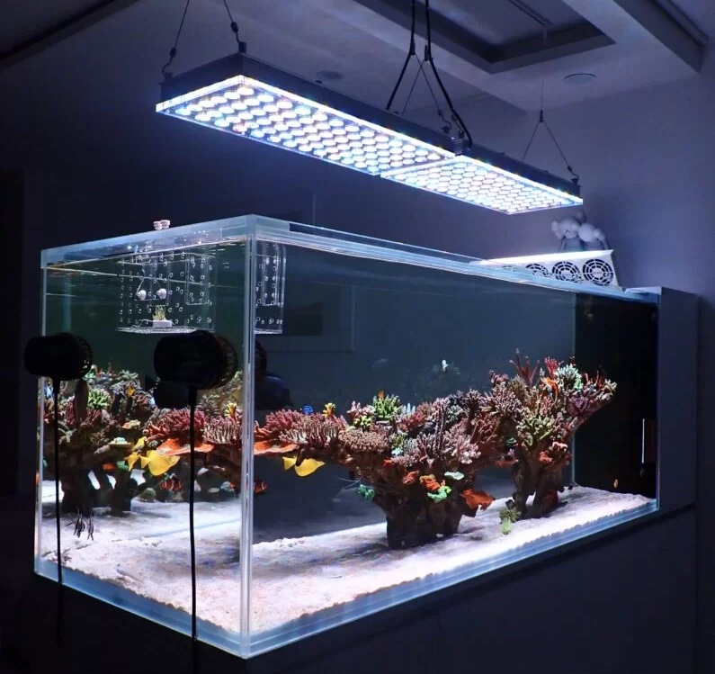 Orphek_atlantik_icon_best_reef_aquarium_led_lighting