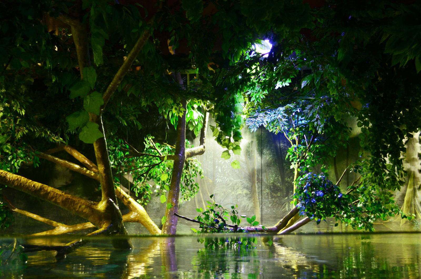 Öffentliches Aquarium Zoo LED-Beleuchtung Fotogalerie