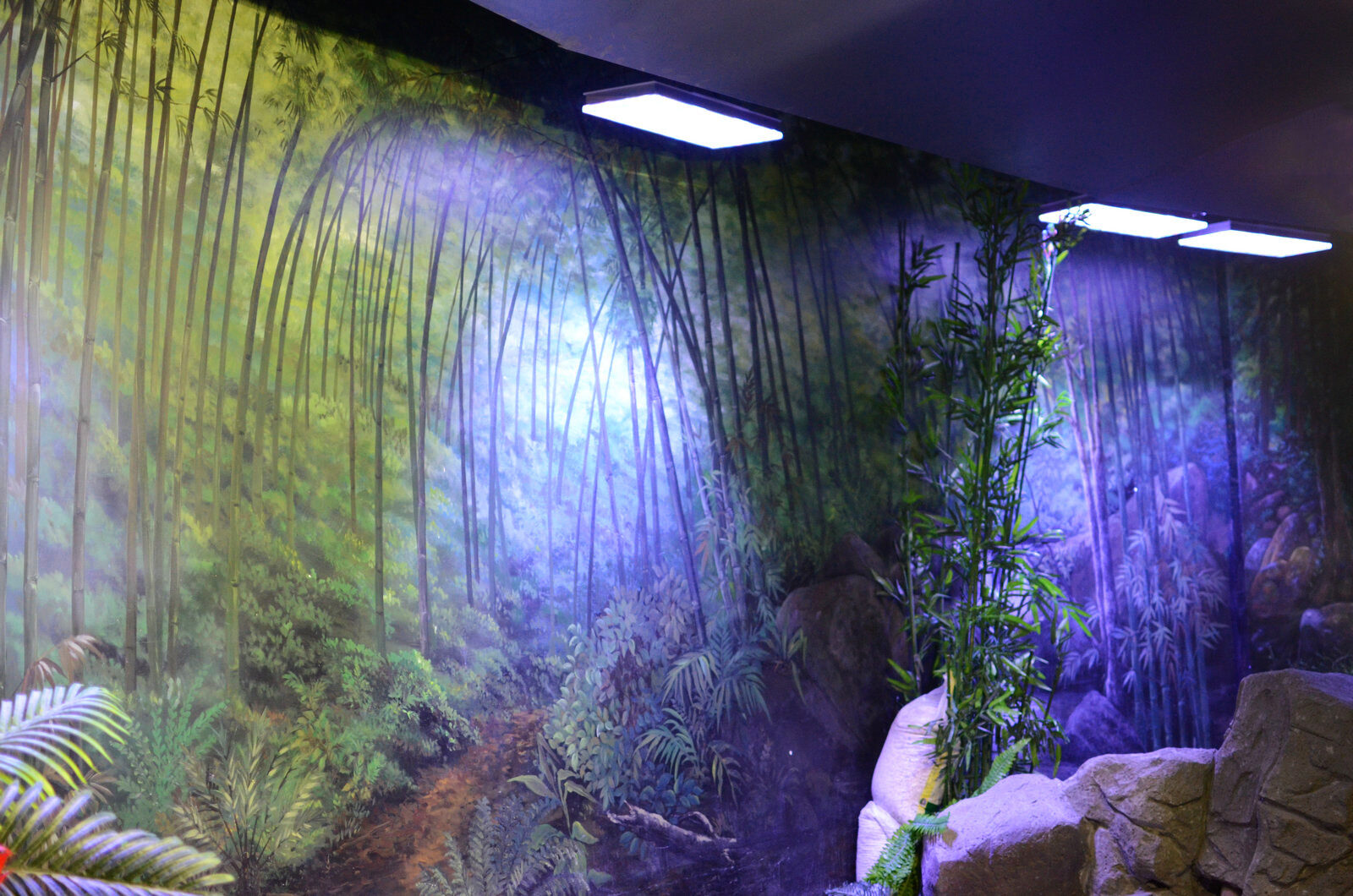 oświetlenie ogrodu zoologicznego w akwarium