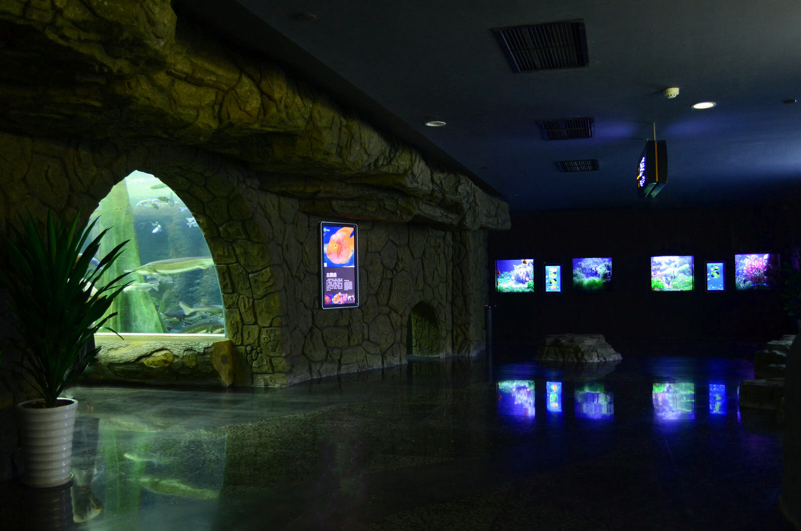 vườn thú hồ cá chiếu sáng orphek
