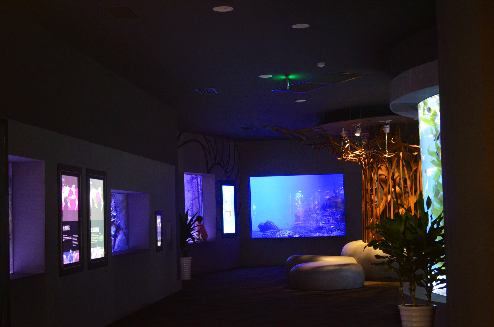 museo acuático iluminación led cubo oceanario