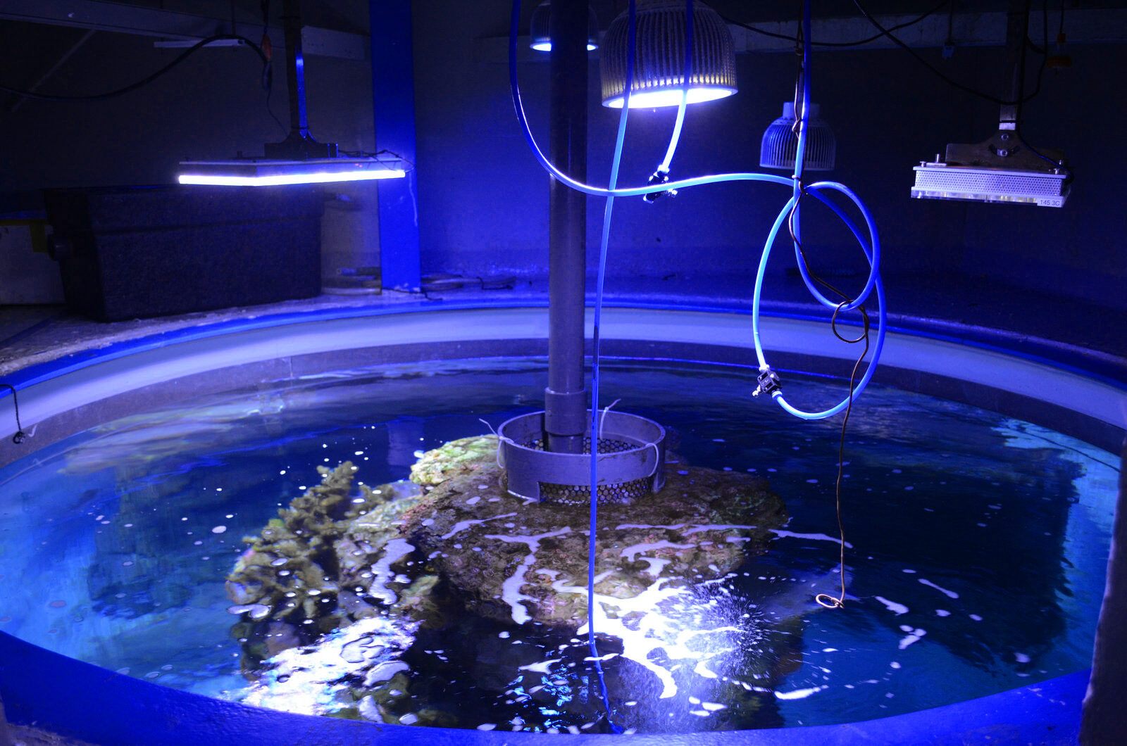 beste LED-Beleuchtung für öffentliche Aquarien