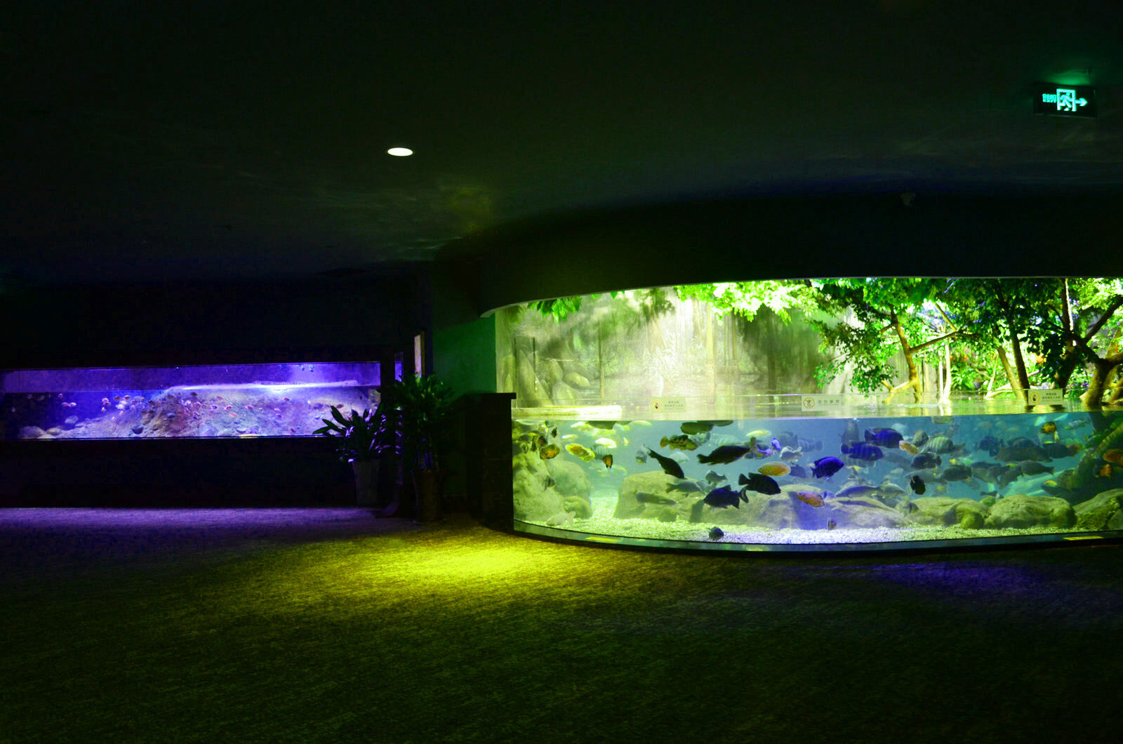 пресноводный общественный аквариум со светодиодной подсветкой orphek