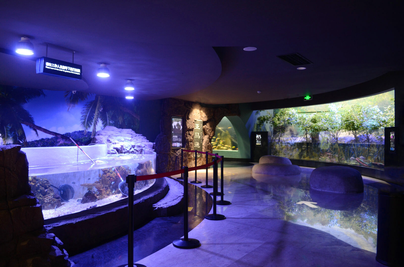 marine-exhibit-led-light
