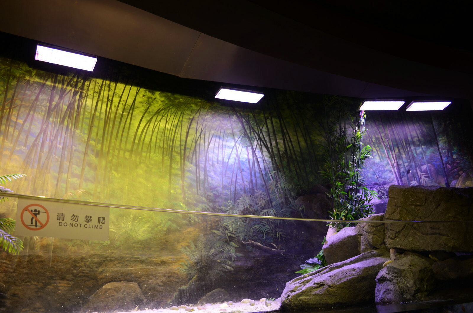 acquario pubblico d'acqua dolce piantato con luce a led orphek