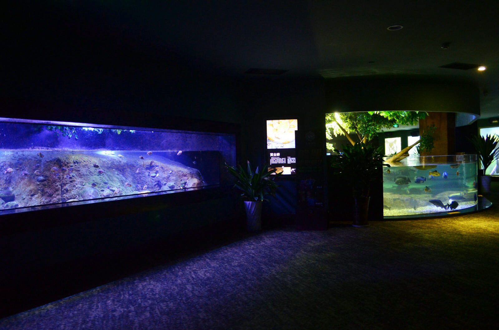 acuario público cubo oceanario orphek Iluminación led