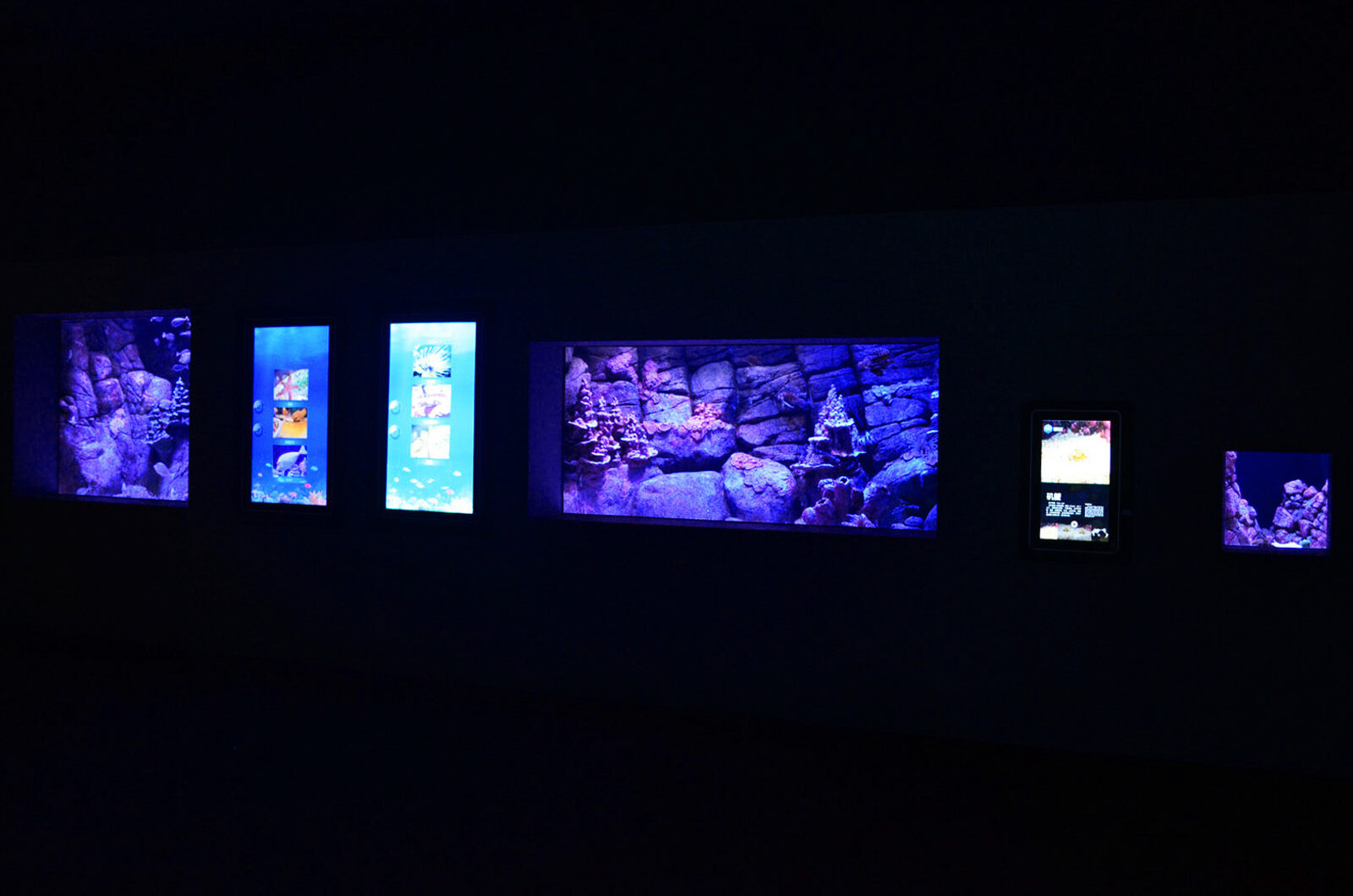 общественный аквариум выставка светодиодный свет