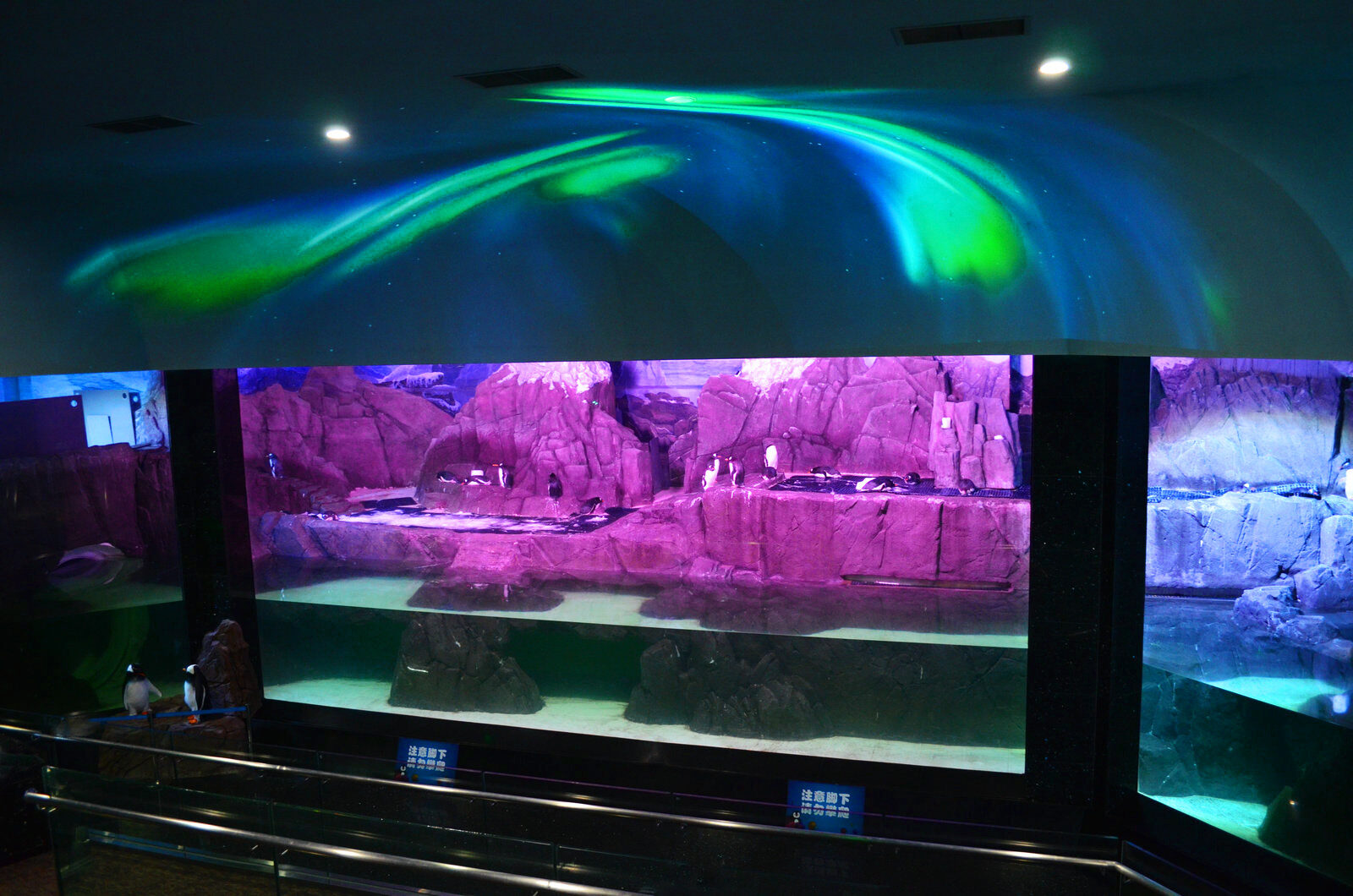 public aquarium illuminations