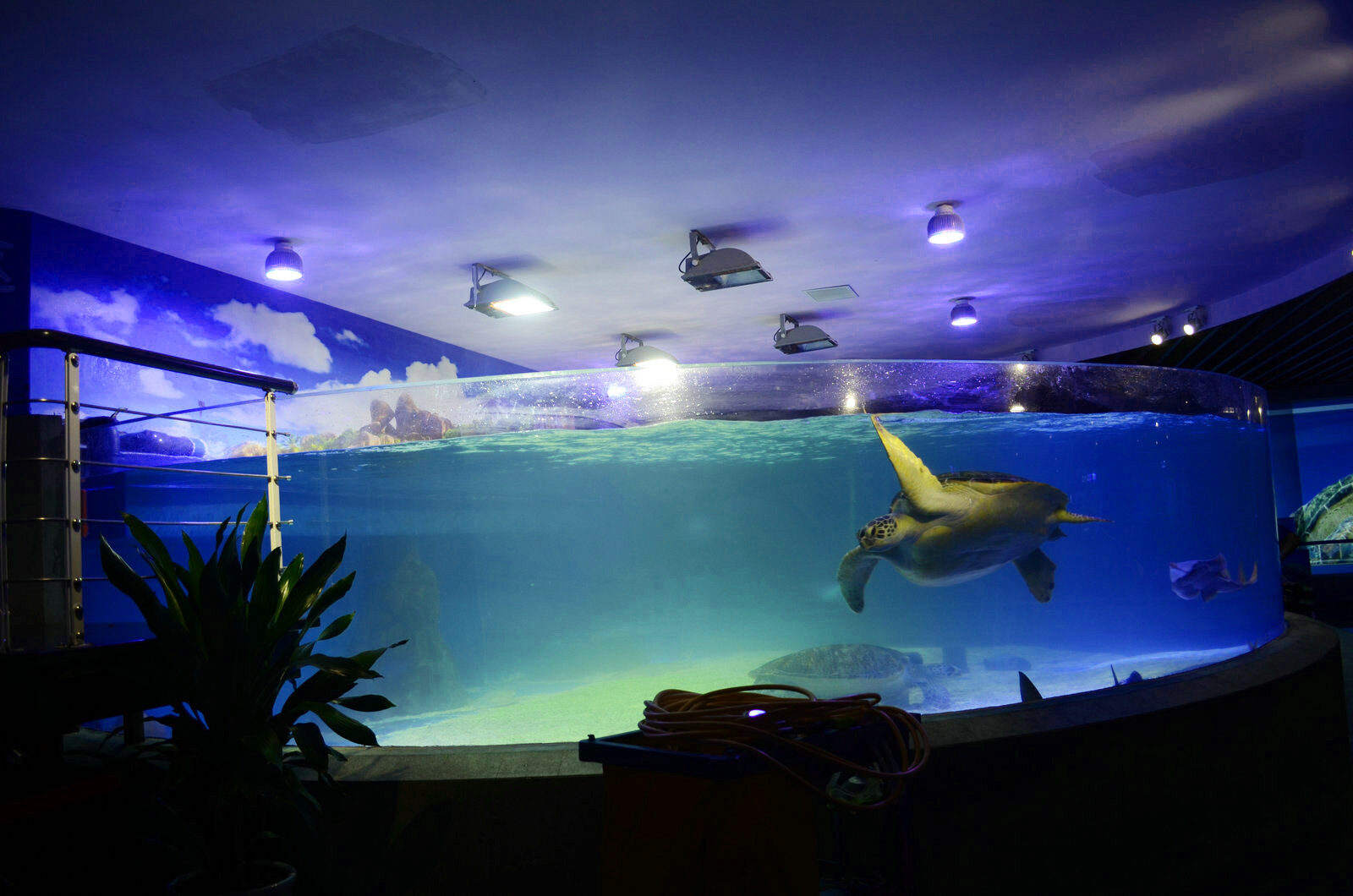 public aquarium illuminations orphek