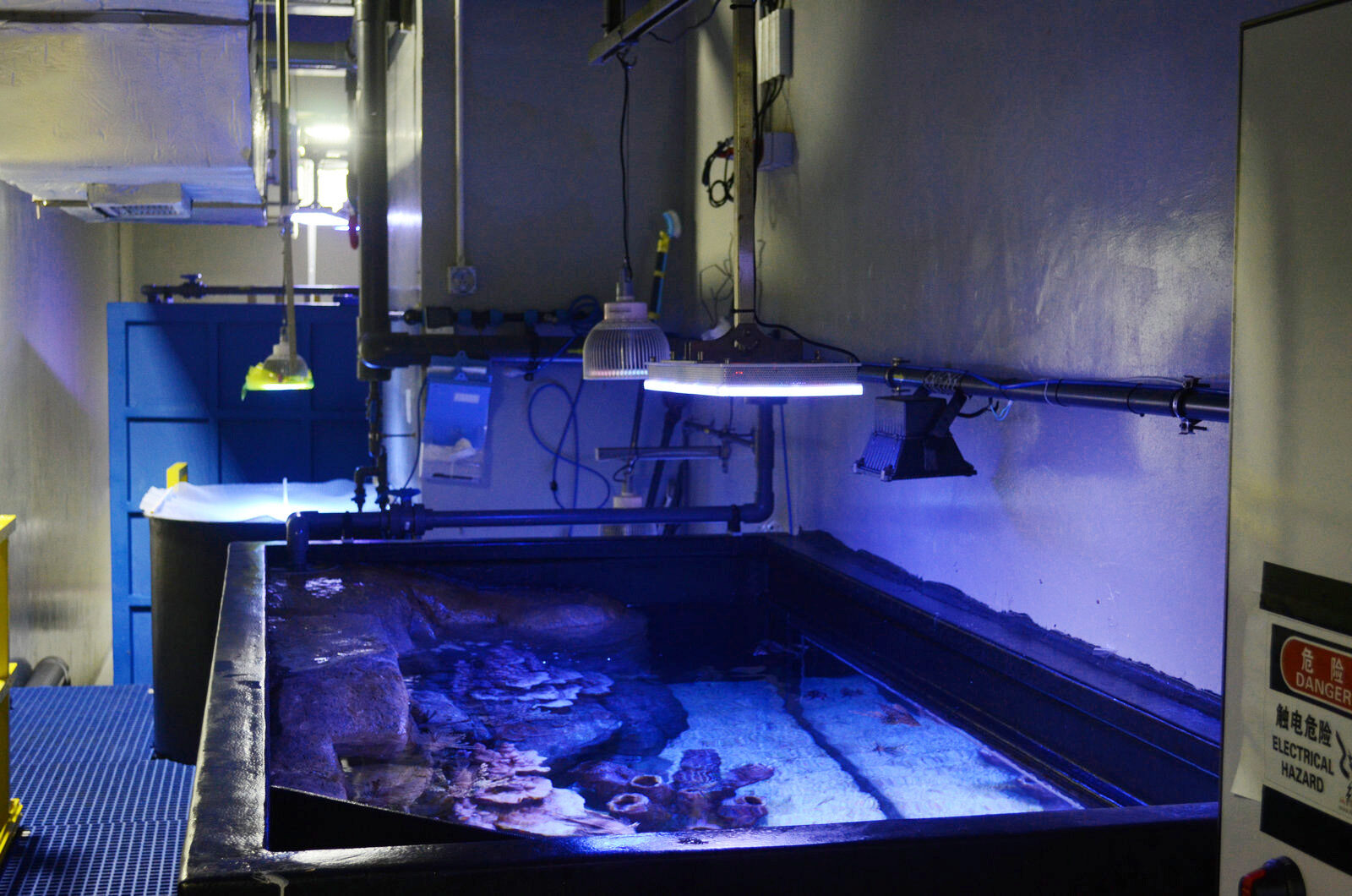 acquario pubblico di barriera corallina luci a led orphek atlantik
