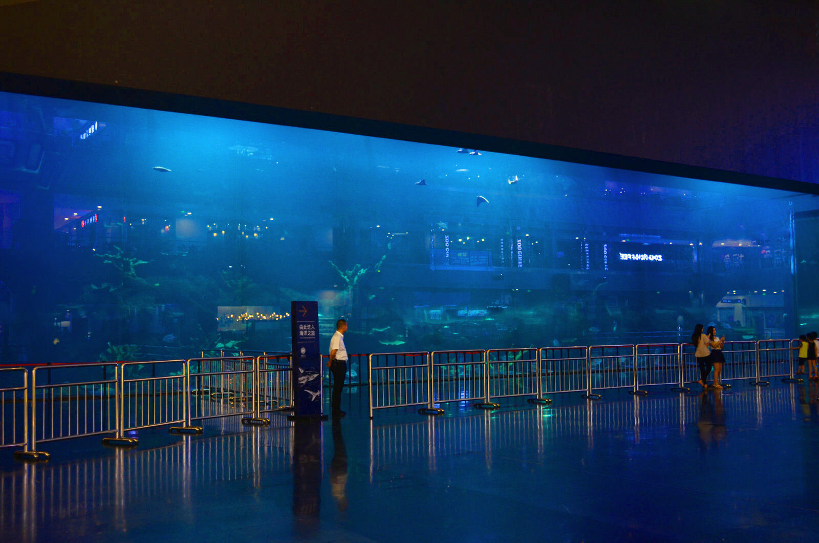 akuarium terbesar di dunia orphek