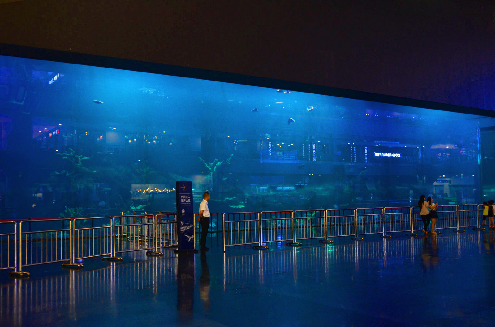 le plus grand aquarium du monde orphek