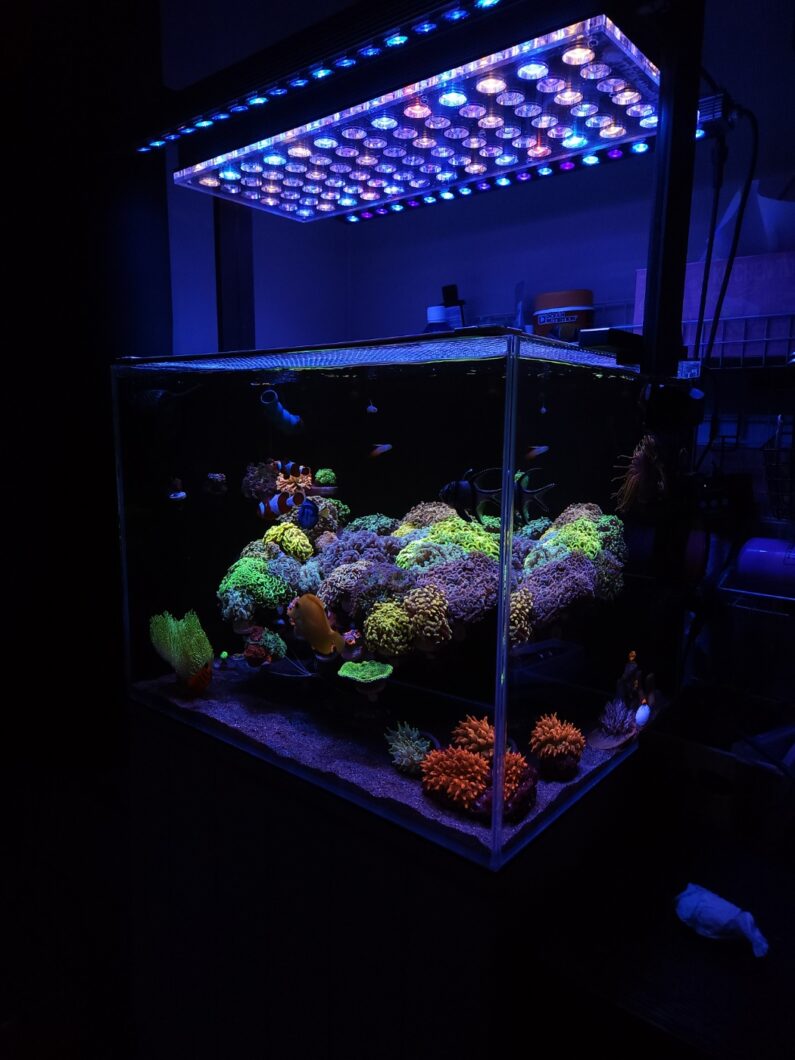 2023-лучший-риф-аквариум-светодиодное-освещение-Atlantik-icon-OR3-светодиодная-бар-