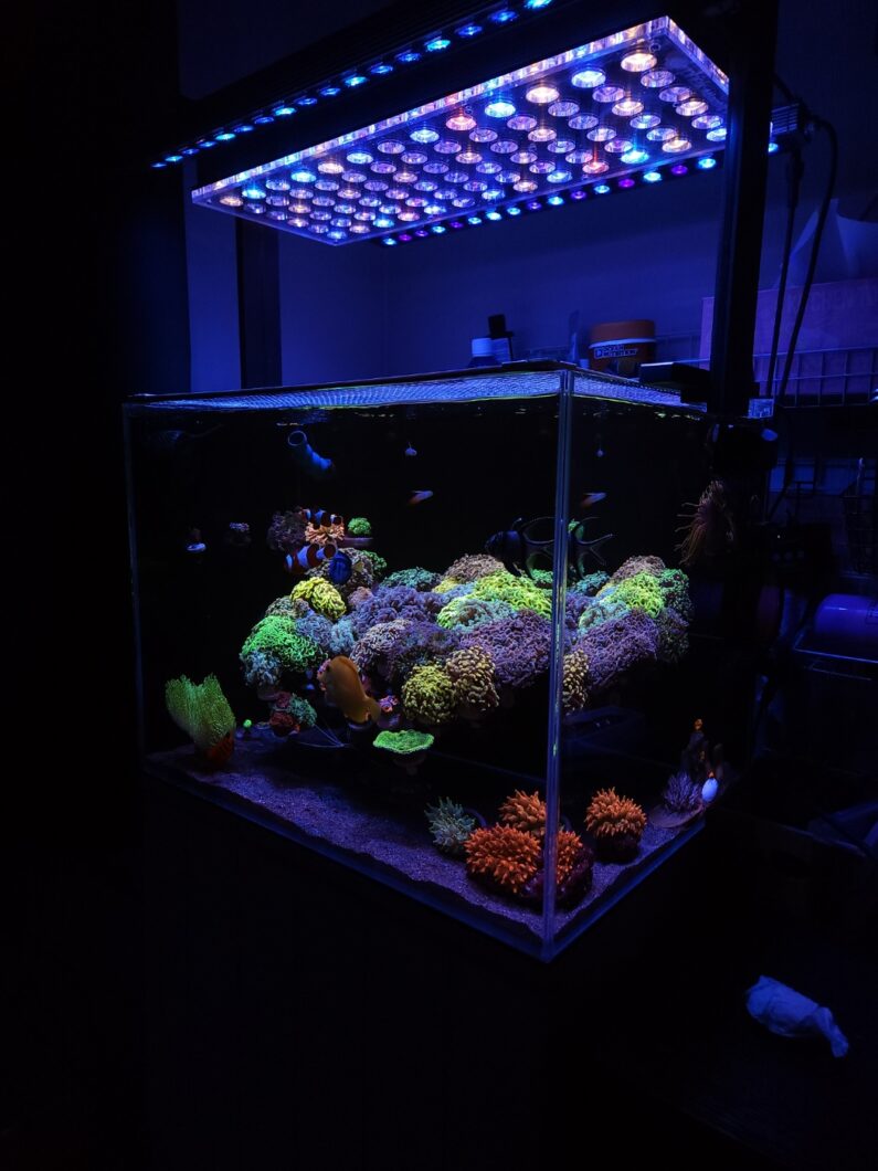 2023-melhor-reef-aquarium-led-lighting-Atlantik-icon-OR3-led-bar-